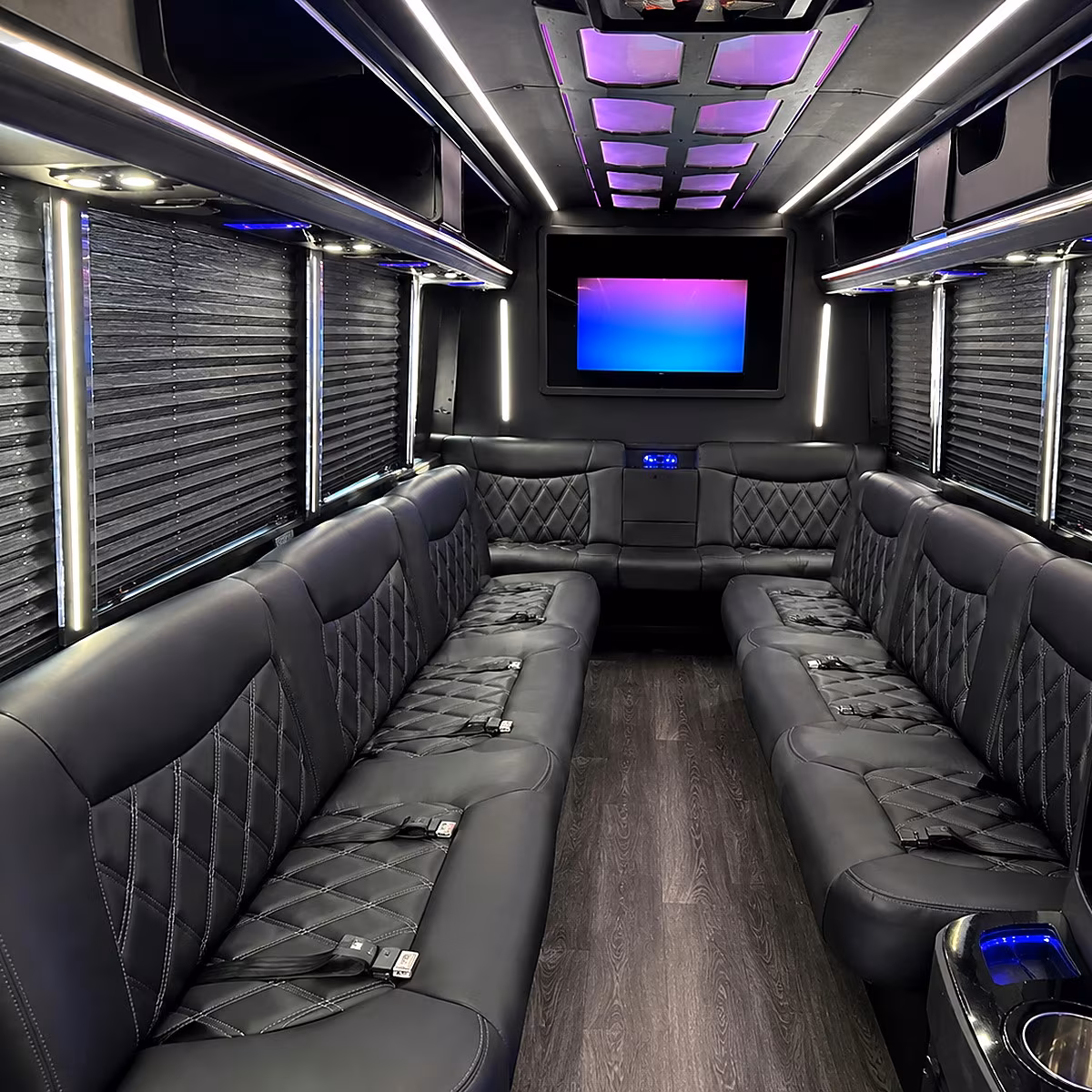 Passenger watching the Nashville scenery during a regional party bus road trip